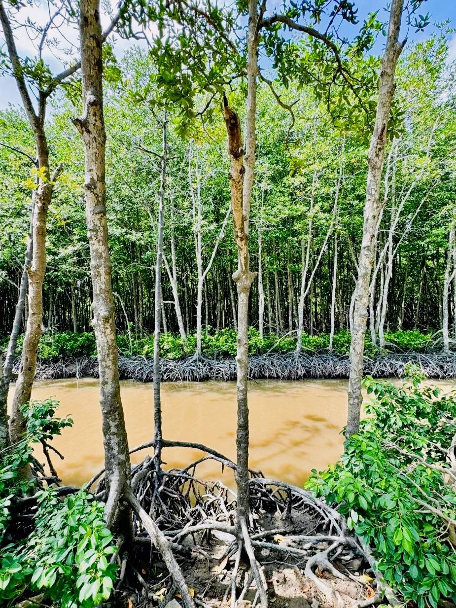 越南旅游景点有哪些地方(越南七日游报团多少钱)-第2张图片