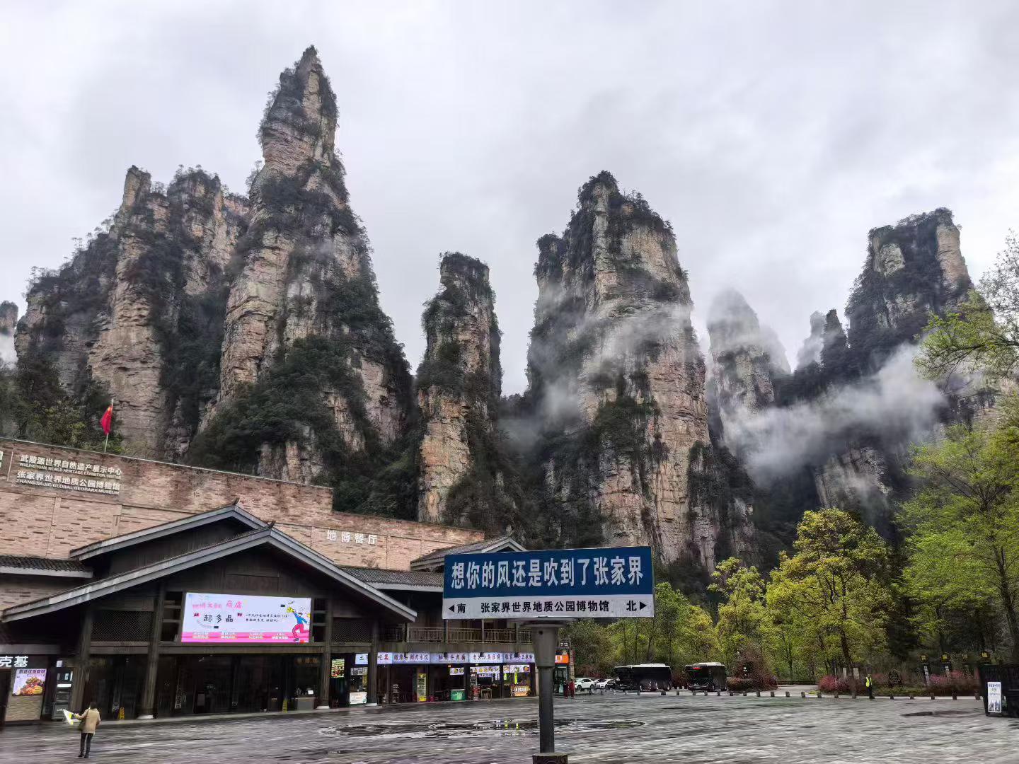 张家界当地导游推荐.推荐一下张家界比较好的口碑好的导游？-第3张图片
