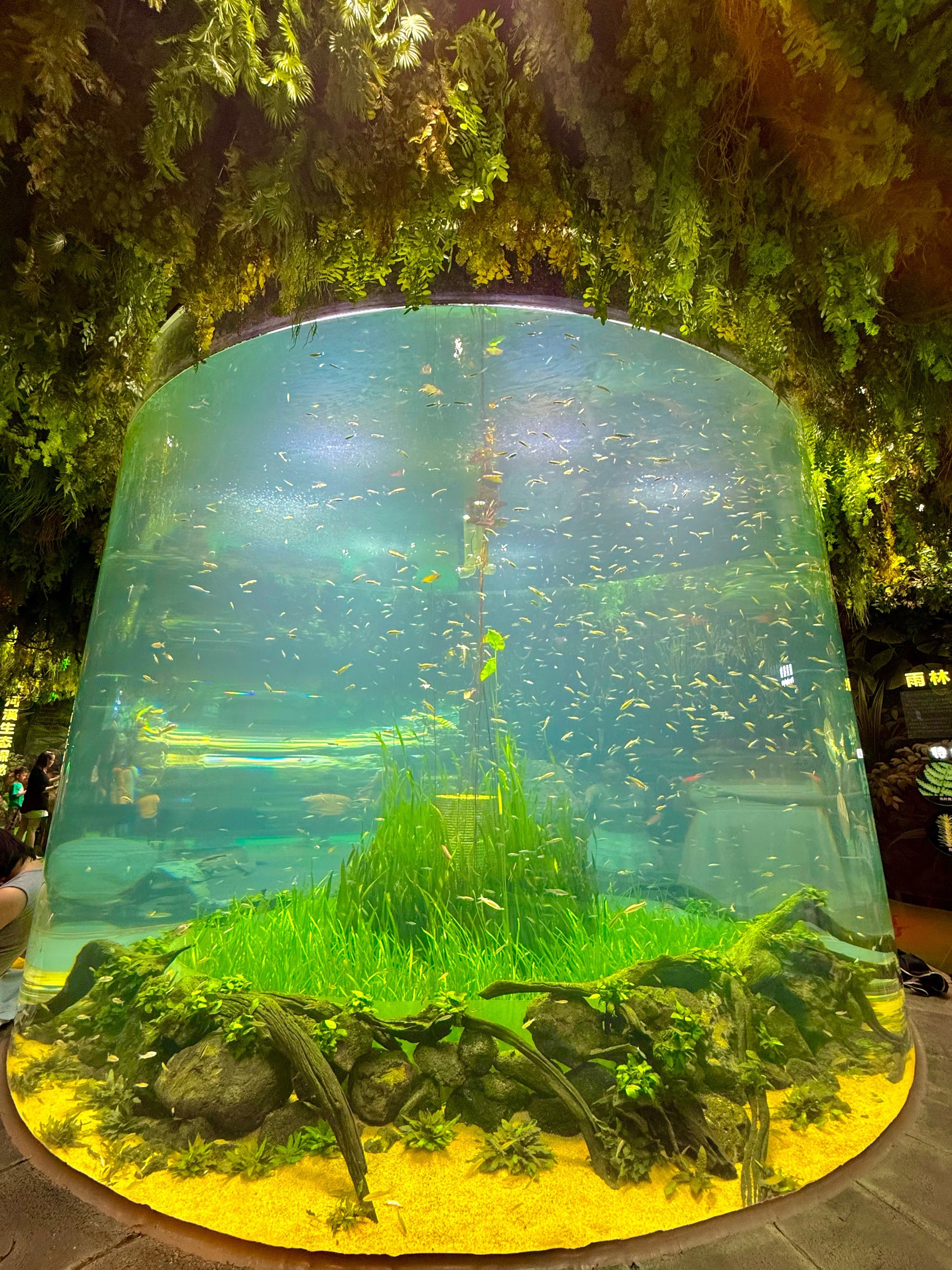 成都海昌极地海洋世界.成都海昌极地海洋世界营业时间?-第3张图片