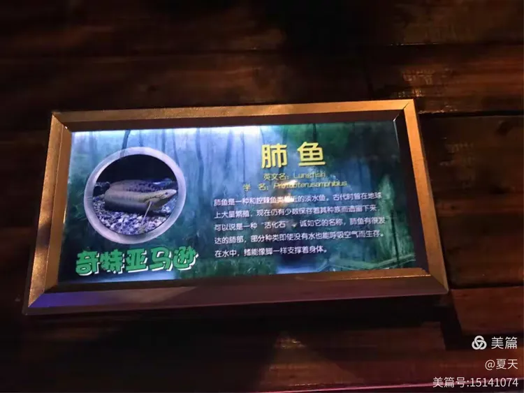 上海海底世界门票价格/上海海底世界门票价格表-第2张图片