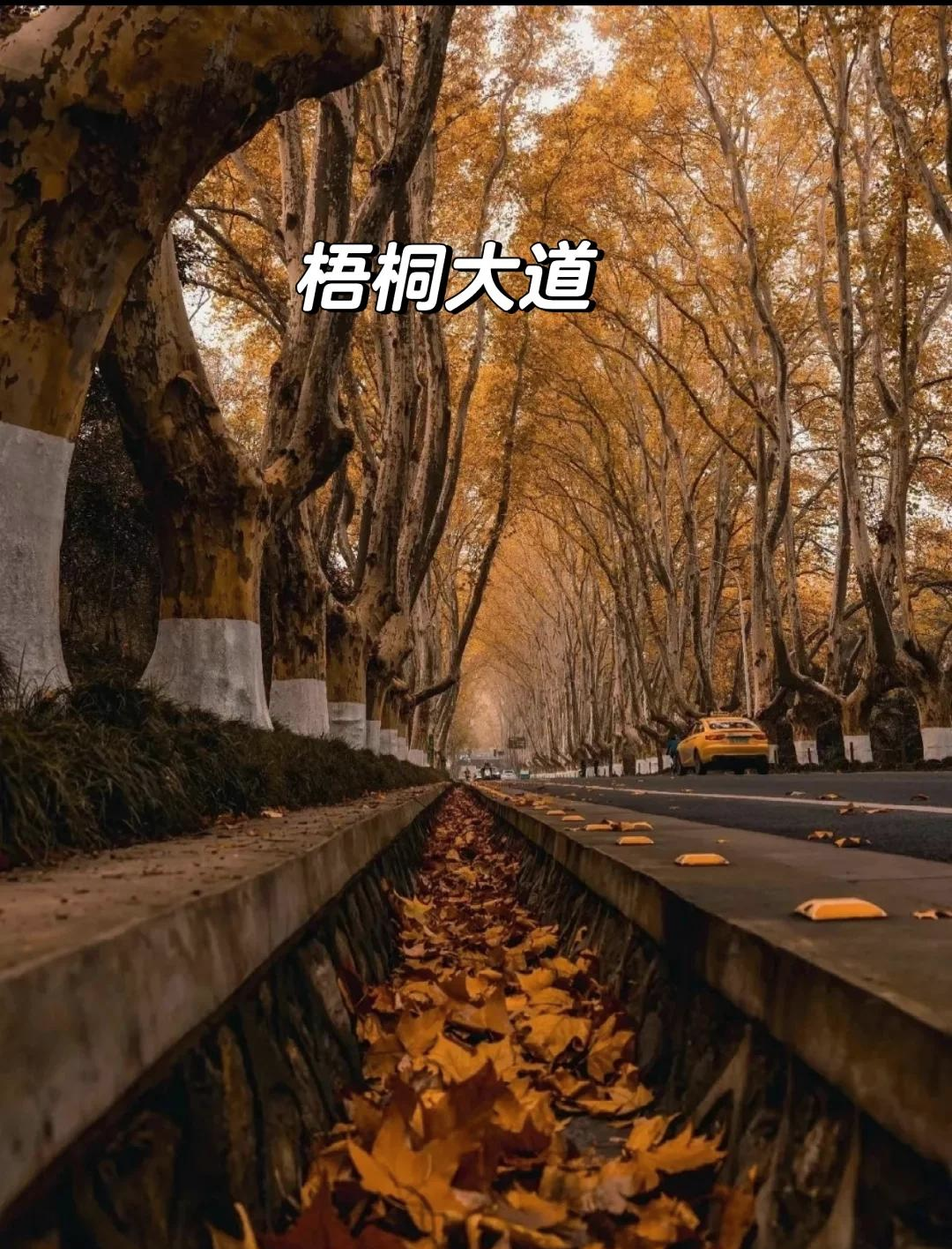 南京景点预约公众号.南京景点预约公众号微信？-第2张图片