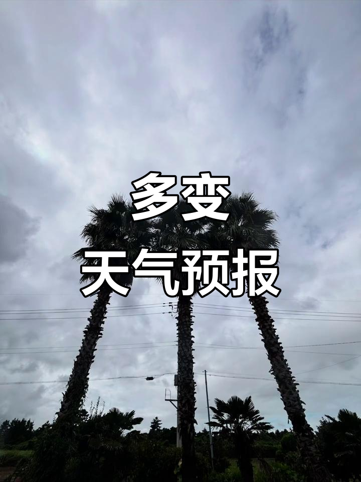 济州岛/济州岛天气预报15天-第1张图片