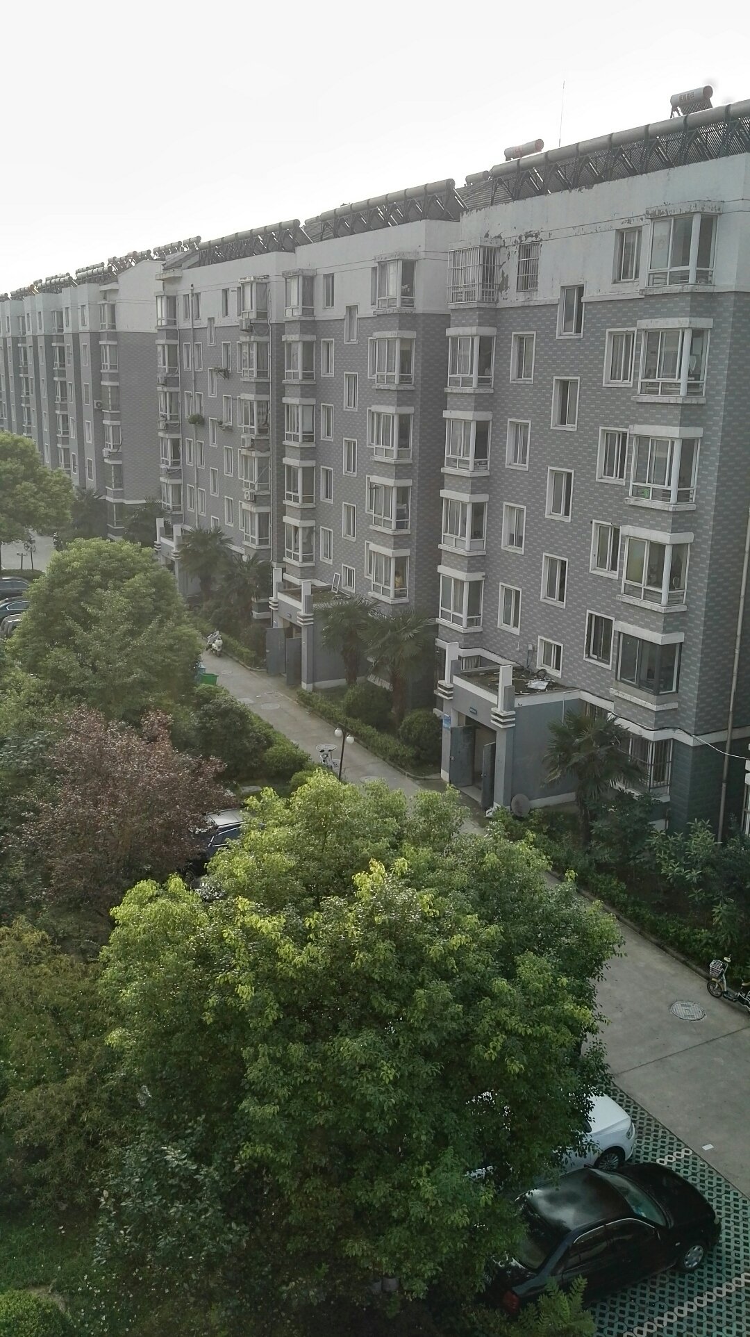 【江苏省气象服务中心,江苏省气象服务中心在哪里】-第2张图片