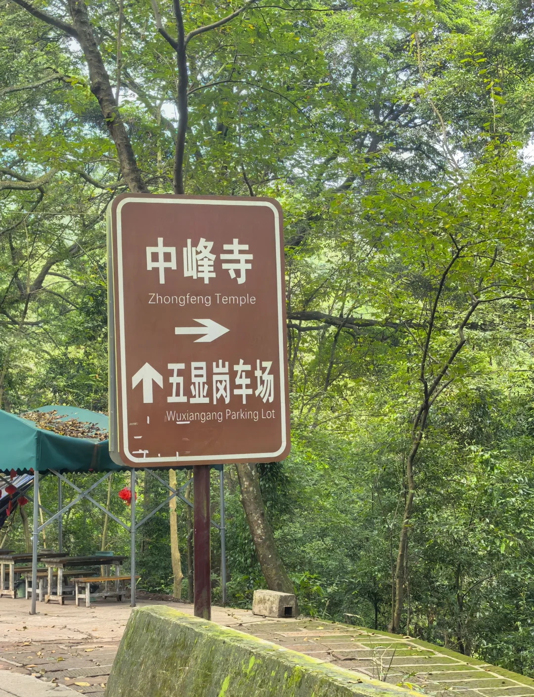 峨眉山自驾游山旅游攻略.峨眉山自驾游山旅游攻略最新?-第3张图片