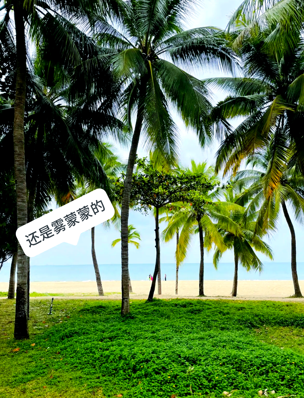 3月份适合旅游的地方.三月份适合旅游？-第3张图片