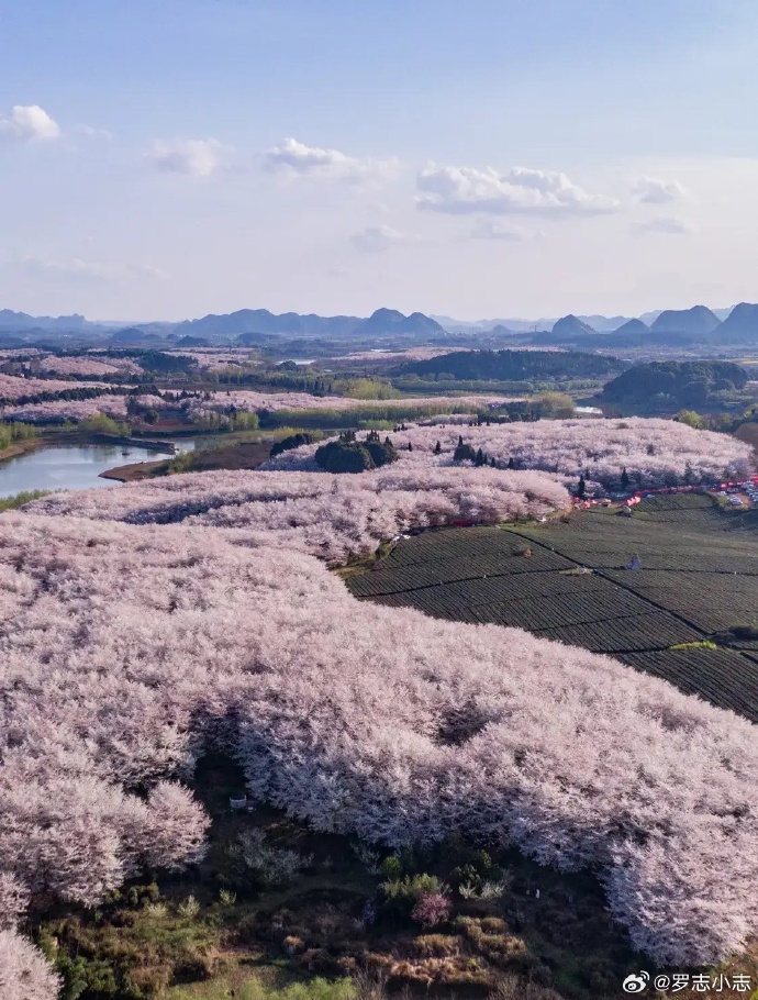 3月份适合旅游的地方.三月份适合旅游？-第2张图片