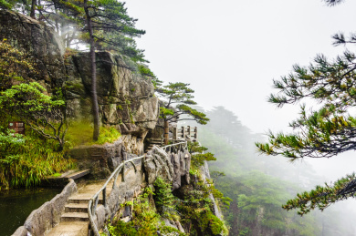 【安徽黄山风景区,安徽黄山风景区官网】-第2张图片