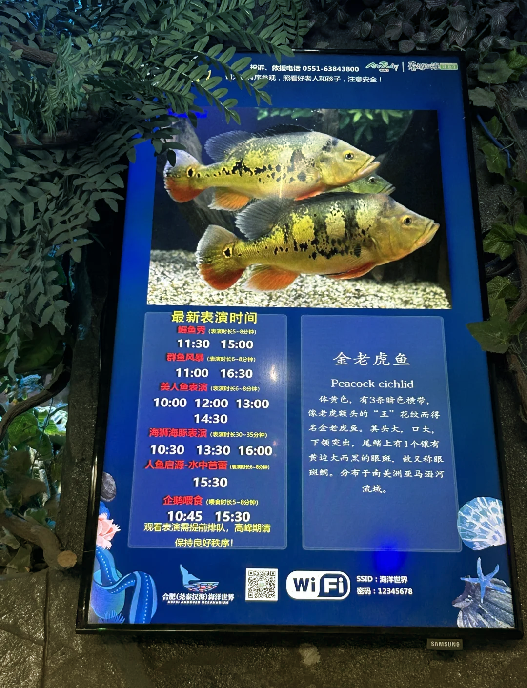 芜湖方特水上乐园门票.芜湖方特水上乐园门票购买？-第2张图片
